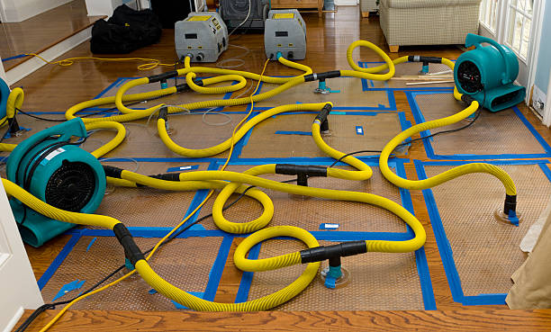 Professional Water Damage Repair technician working in Ryderwood, WA